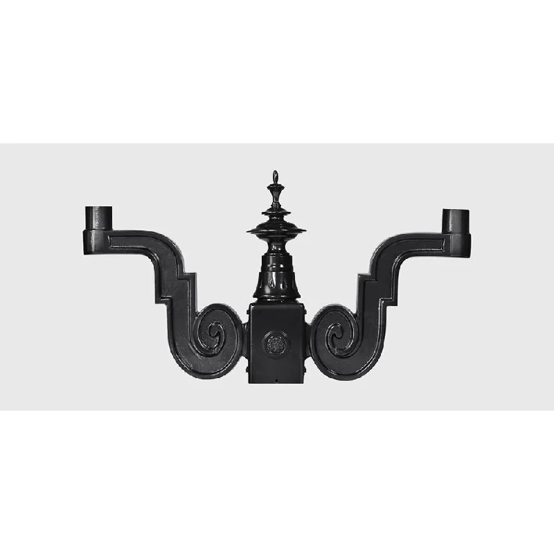 Smart track lighting with voice controlSternberg Lighting Arm 579
