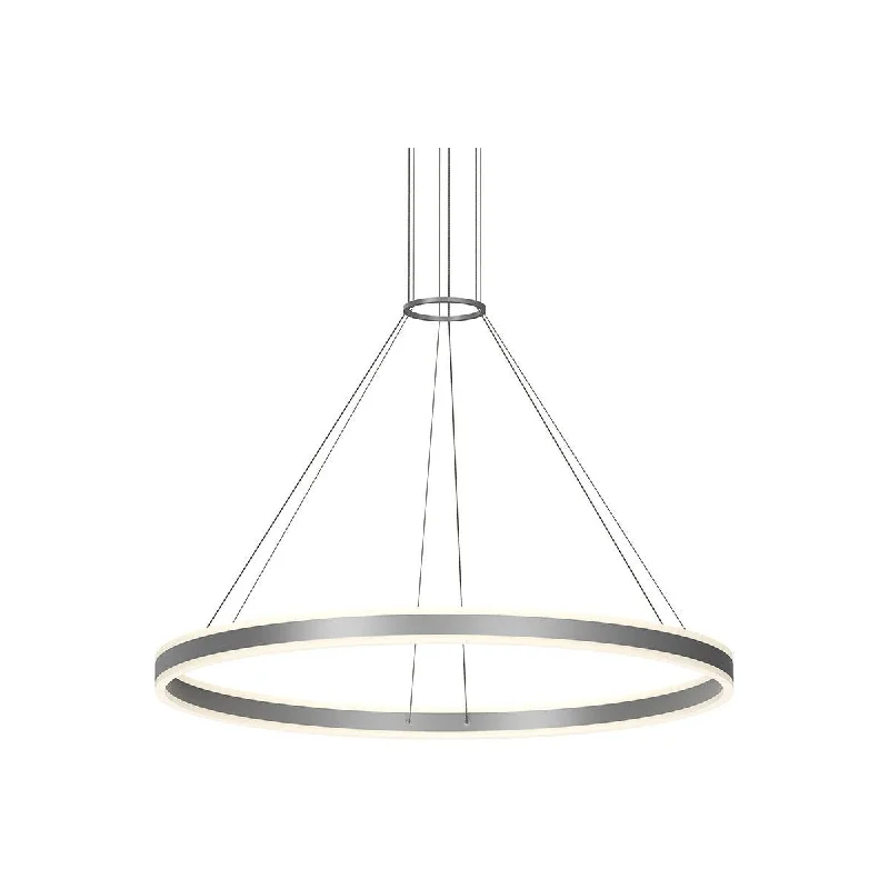 Track lighting for creating a moody atmosphereDouble Corona 48" LED Ring Pendant (with 20' Cords)